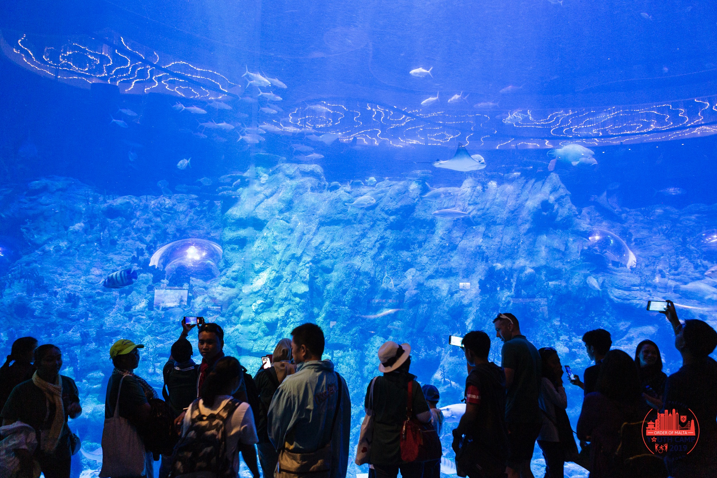 maltacamp hongkong christoph wisser oceanpark thursday 1